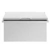 TrueFlame 28-Inch 2.7 Cu. Ft. Drop-in Cooler (TF-IC-28) 1 TrueFlame 28-Inch 2.7 Cu. Ft. Drop-in Cooler (TF-IC-28) -Outdoor Kitchen Shop 125 tf ic 28