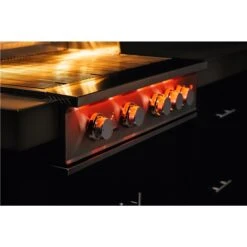 TrueFlame 25-Inch 3-Burner Built-In Gas Grill (TF25-LP/NG) 16 TrueFlame 25-Inch 3-Burner Built-In Gas Grill (TF25-LP/NG) -Outdoor Kitchen Shop 125 tf25 lp 8