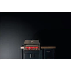 TrueFlame 32-Inch 4-Burner Built-In Gas Grill (TF32-LP/NG) 11 TrueFlame 32-Inch 4-Burner Built-In Gas Grill (TF32-LP/NG) -Outdoor Kitchen Shop 125 tf32 lp 3