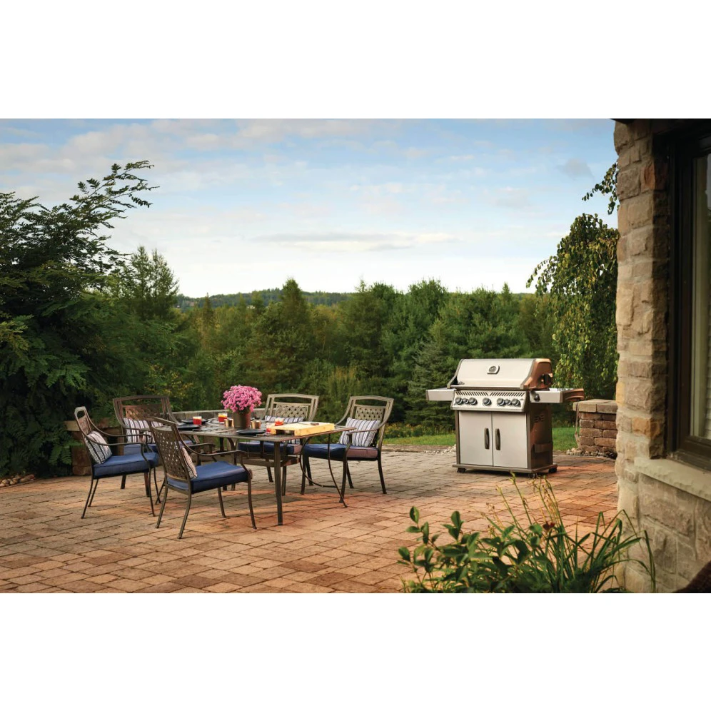 Napoleon Rogue SE 625 Gas Grill With Infrared Rear & Side Burners - RSE625RSIB 11 Napoleon Rogue SE 625 Gas Grill With Infrared Rear & Side Burners - RSE625RSIB - Image 9