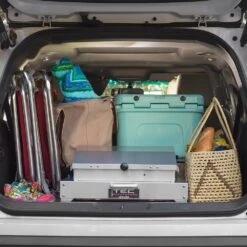 TEC Cherokee FR 24-Inch Portable Table Top Infrared Propane Gas Grill - CHFRLP 10 TEC Cherokee FR 24-Inch Portable Table Top Infrared Propane Gas Grill - CHFRLP -Outdoor Kitchen Shop chfrlp ls b 06 20