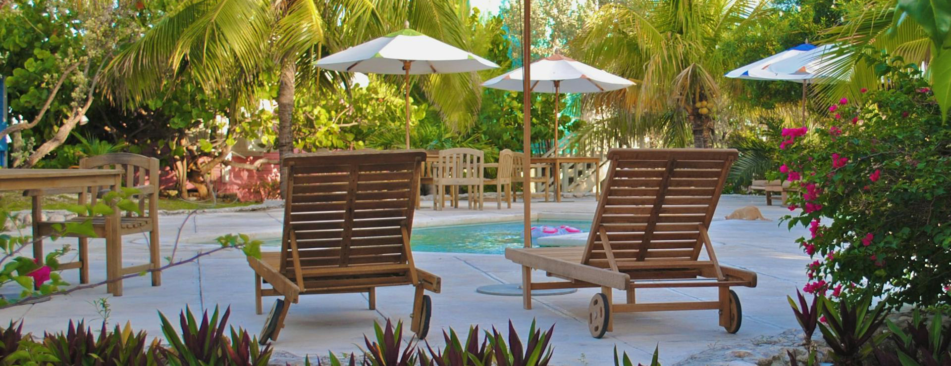 Front Page -Outdoor Kitchen Shop pexels pixabay 274249